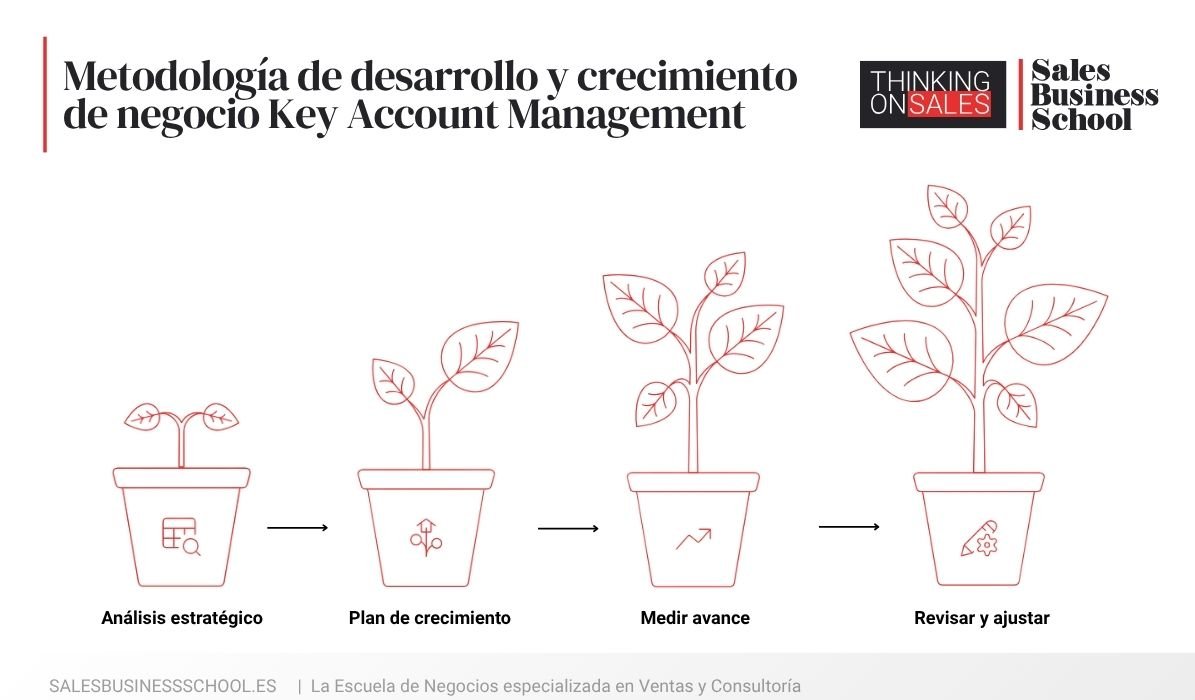 Ilustración "Metodología de desarrollo y crecimiento de negocio de los Key Account Managers (KAM)